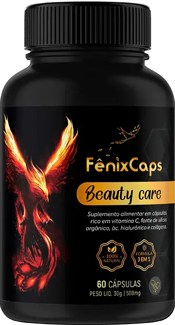 mockup-fenix.webp